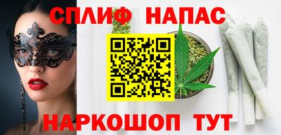 a pvp Славгород
