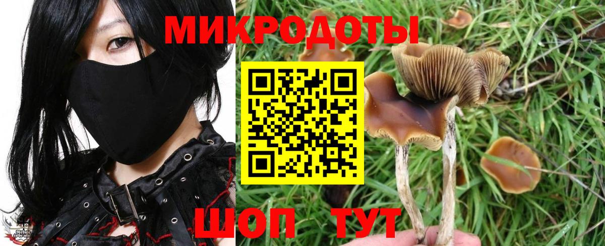 Псилоцибиновые грибы прущие грибы Новочебоксарск